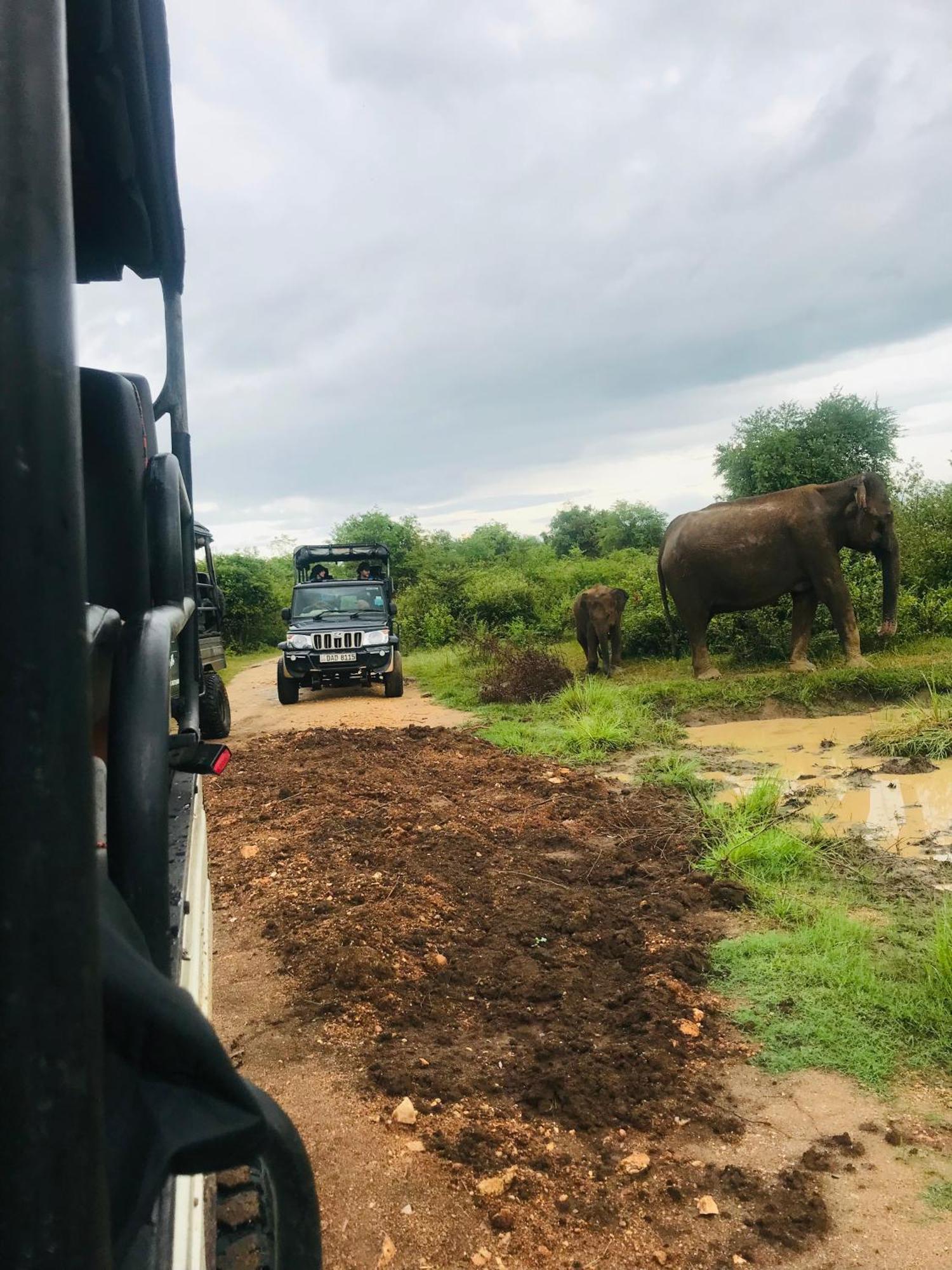 Nature Park Udawalawe Luaran gambar