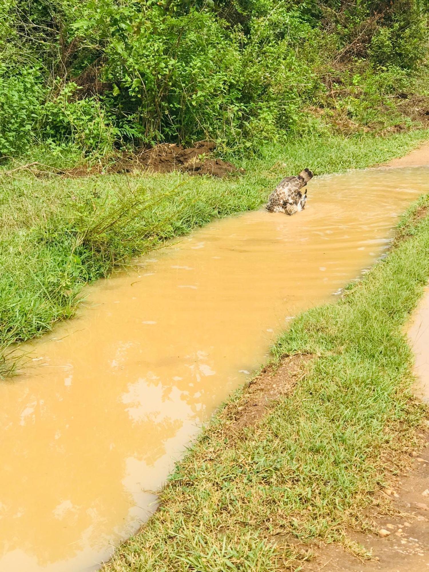 Nature Park Udawalawe Luaran gambar